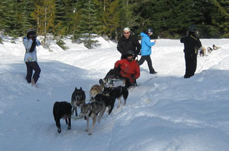 andre-with-sled-_-team.jpg andre-with-sled-_-team.jpg