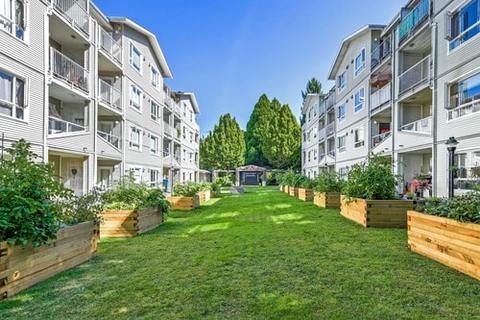 Lions-View-Community-Garden3.jpg